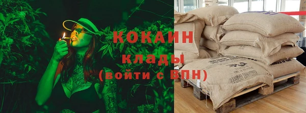 индика Горно-Алтайск