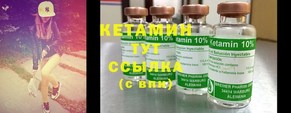 индика Горно-Алтайск
