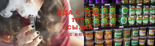 индика Горно-Алтайск