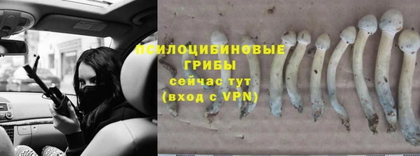 герыч Горняк