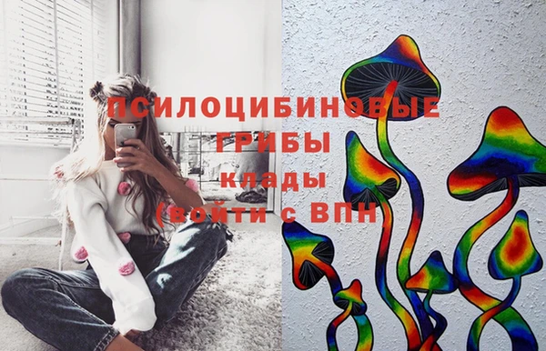 герыч Горняк