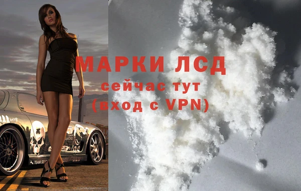 индика Горно-Алтайск