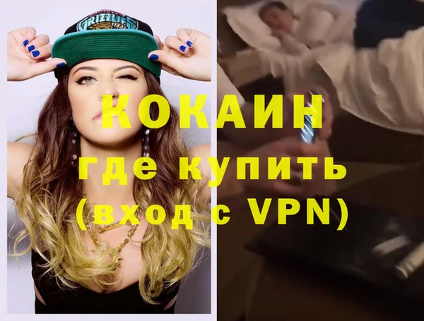 шишки Ладушкин
