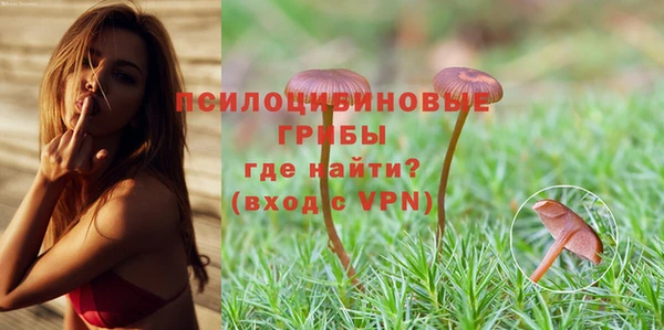 индика Горно-Алтайск