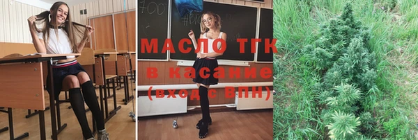 индика Горно-Алтайск