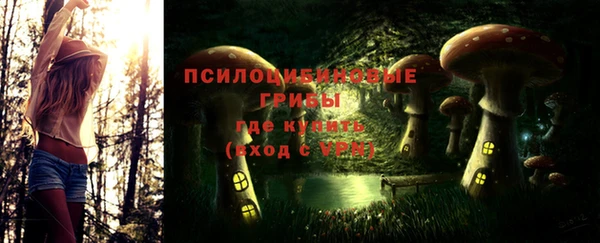 индика Горно-Алтайск
