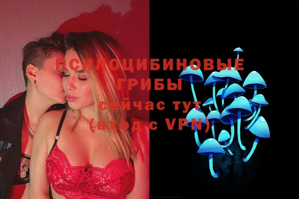 индика Горно-Алтайск
