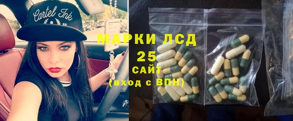 индика Горно-Алтайск